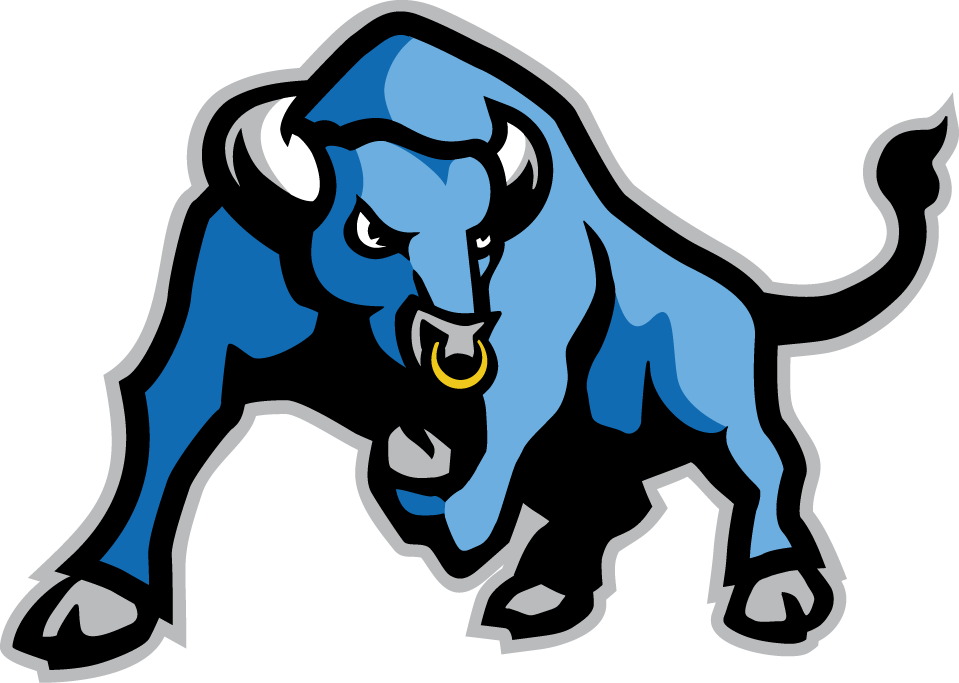 Buffalo Bulls 2007-Pres Alternate Logo iron on transfers for T-shirts